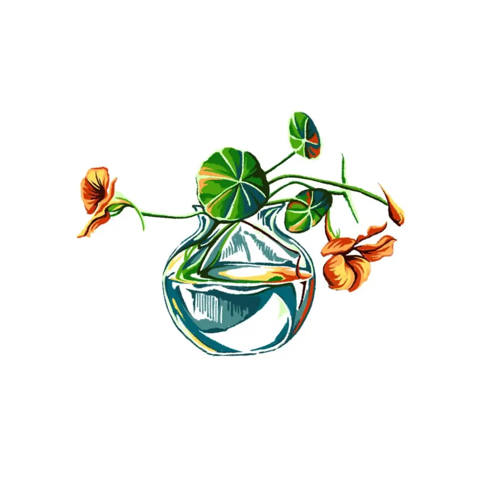 Flower, Nature