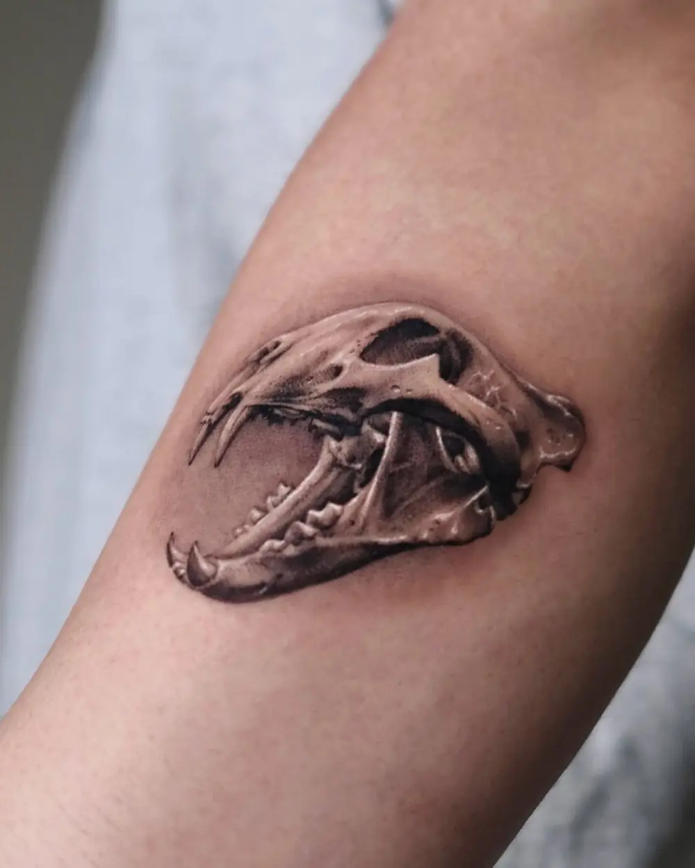 Skull