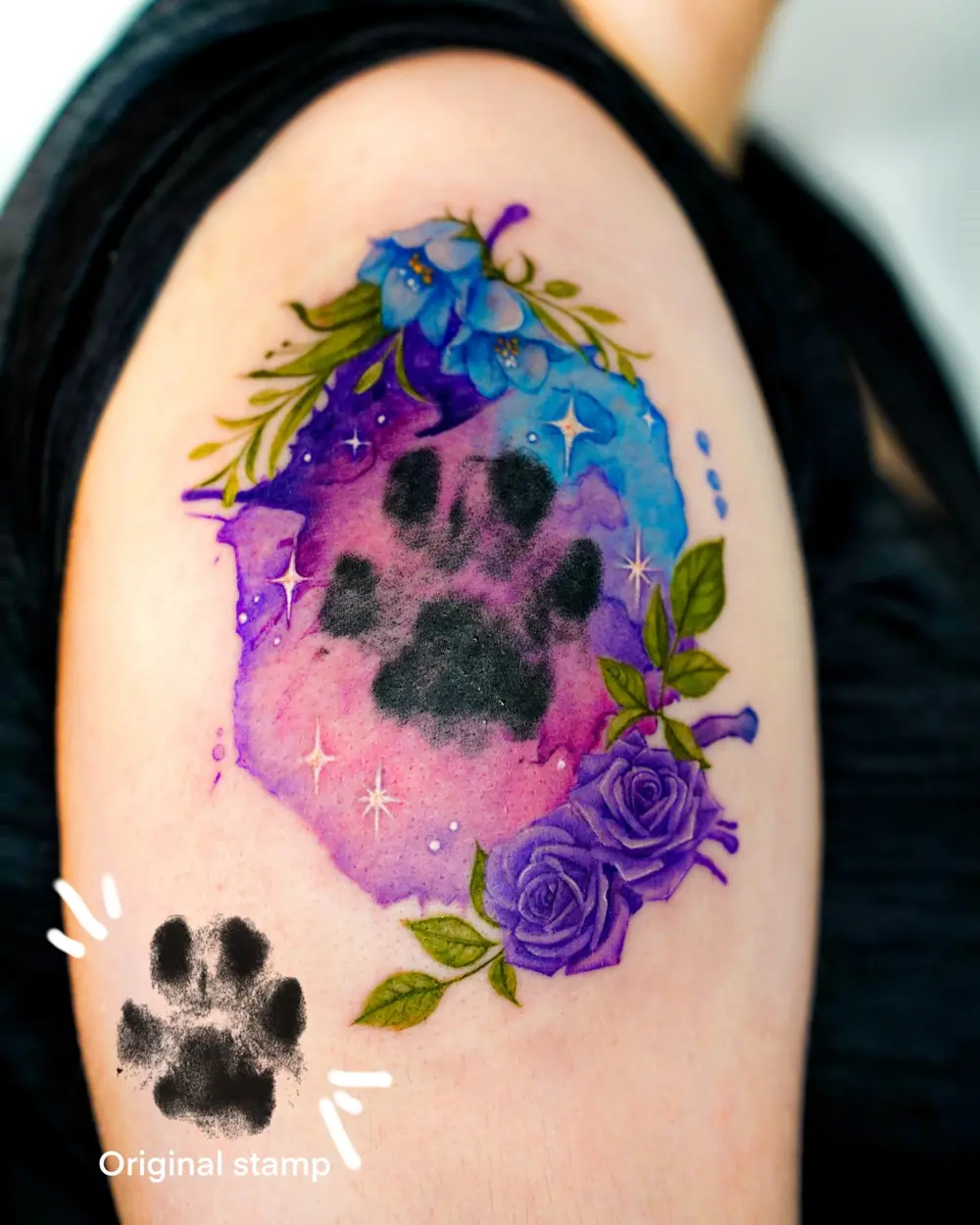 Flower, Rose, Animal