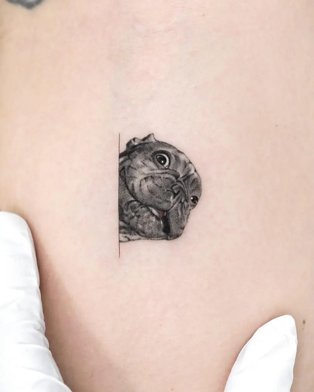 Animal