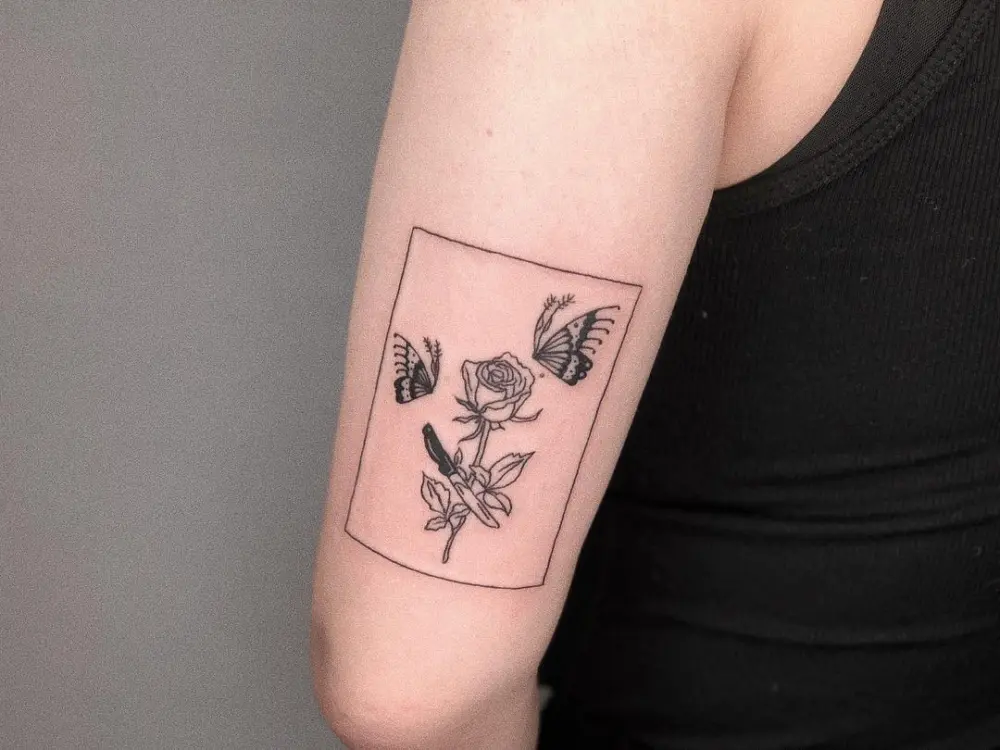 Flower, Rose