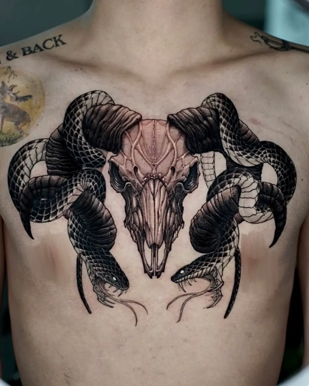 Animal, Snake, Skull