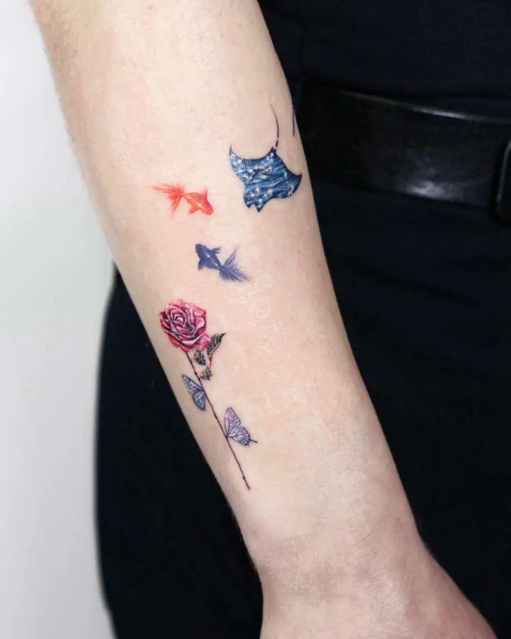Rose, Animal, Nature