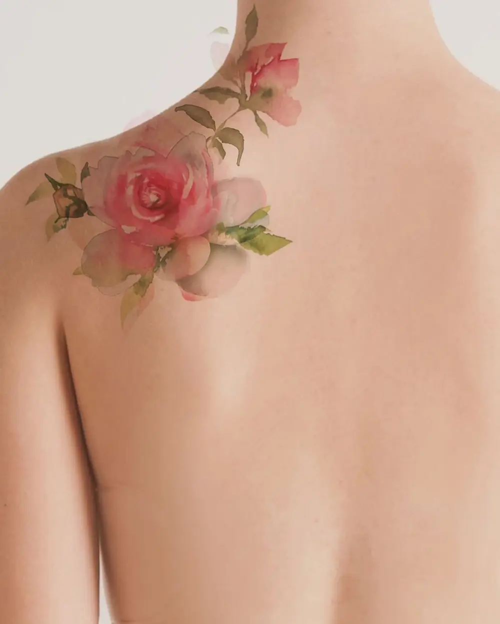 Nature, Flower, Rose