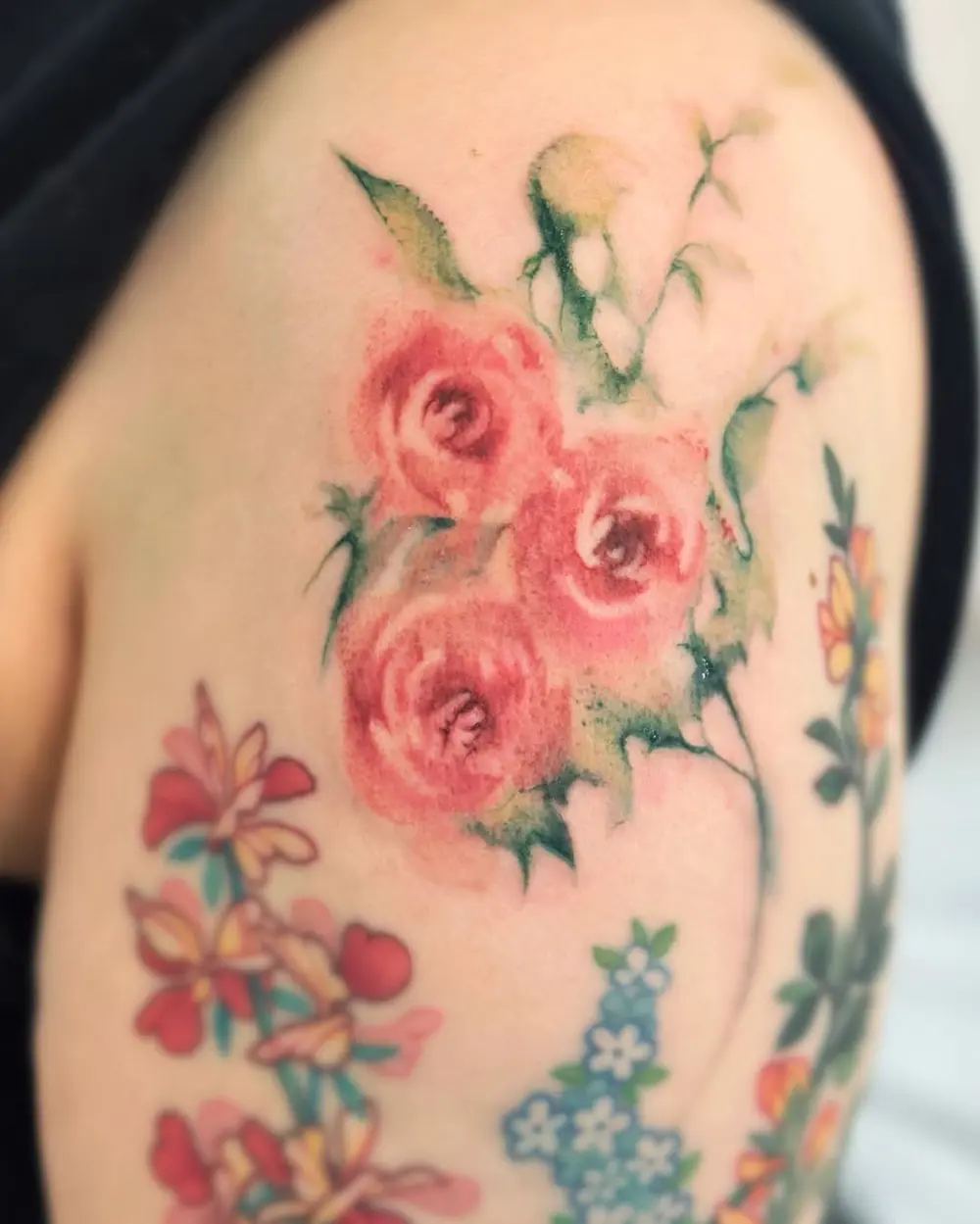 Flower, Rose
