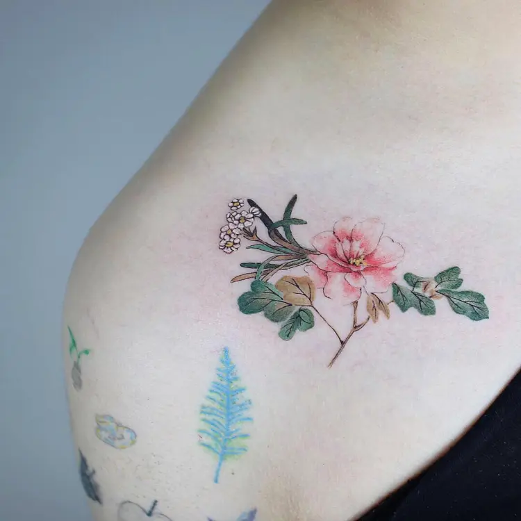 Flower, Rose
