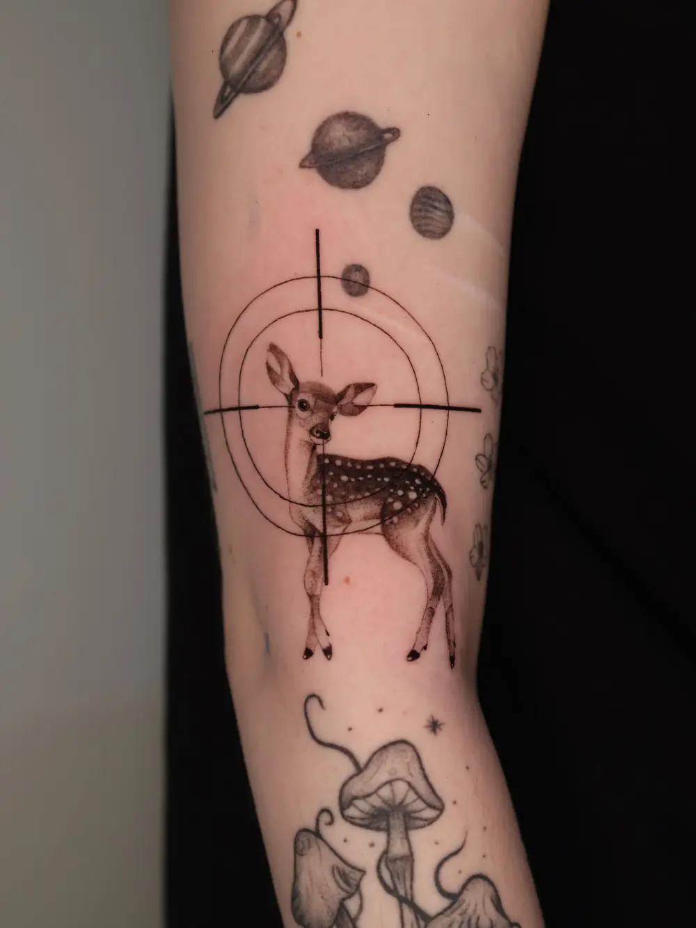 Animal, Nature