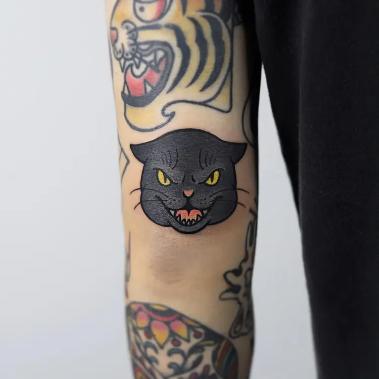 Animal