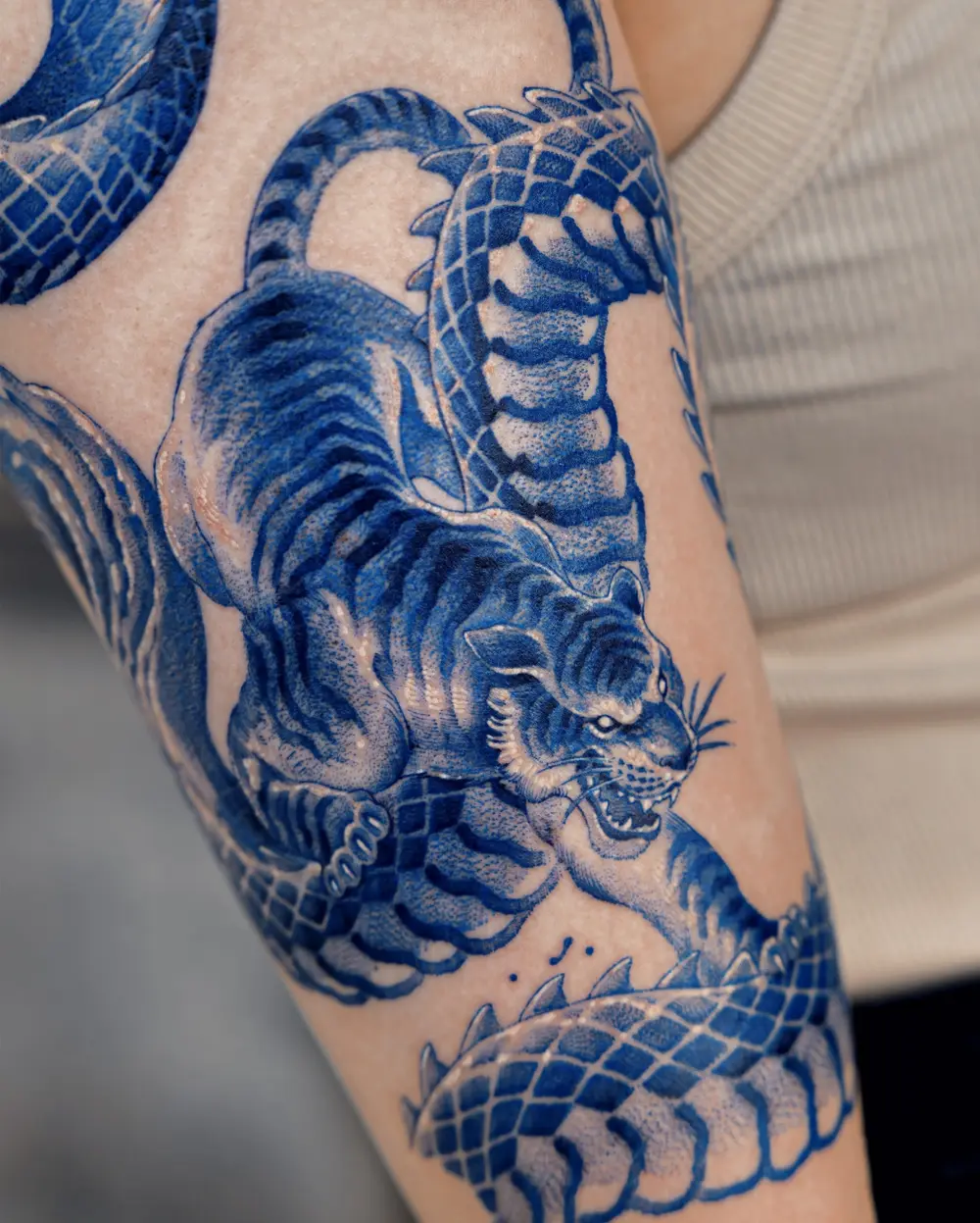 Tiger, Animal