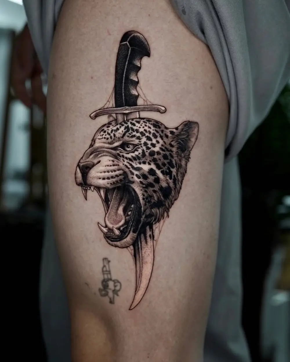 Animal
