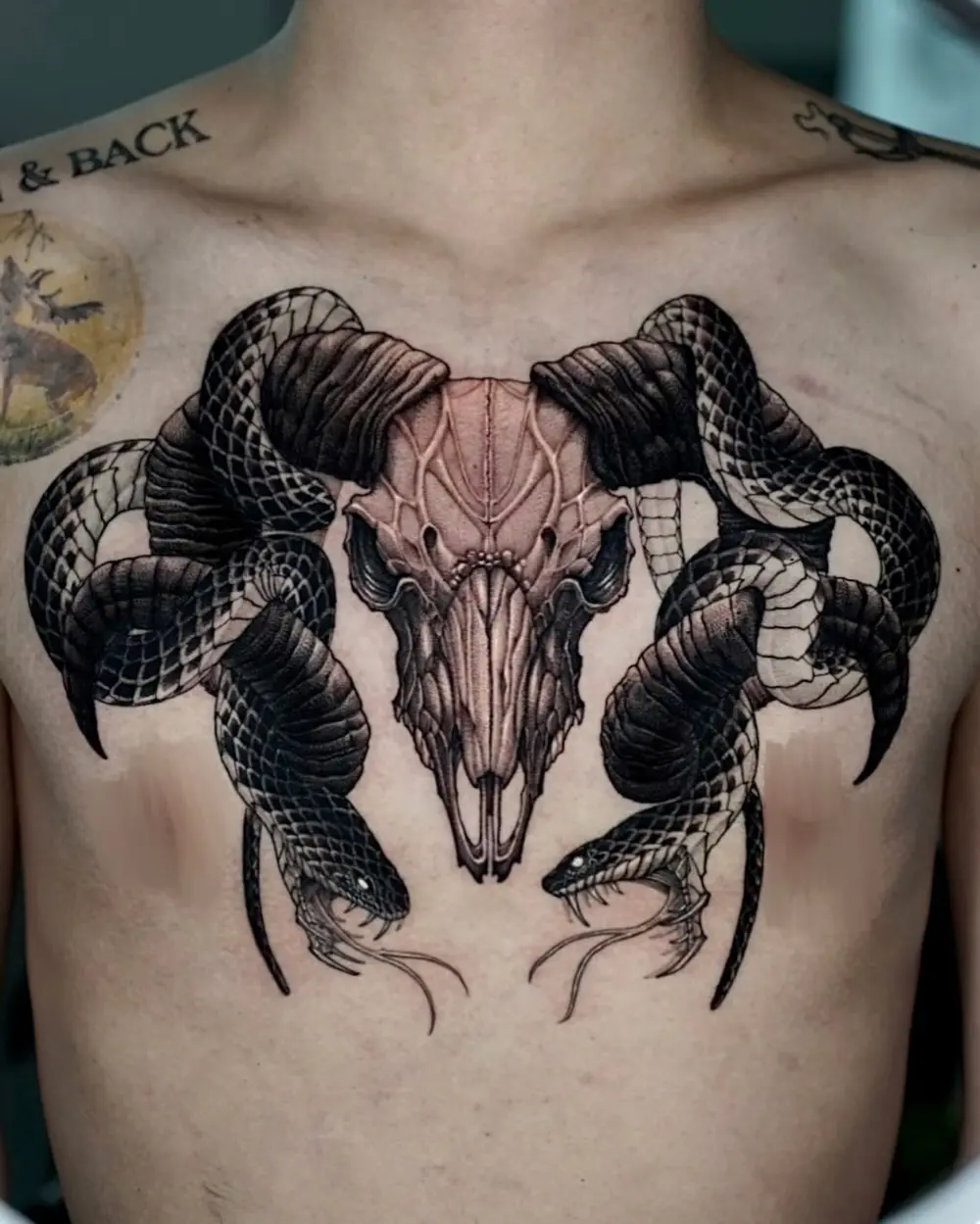 Snake