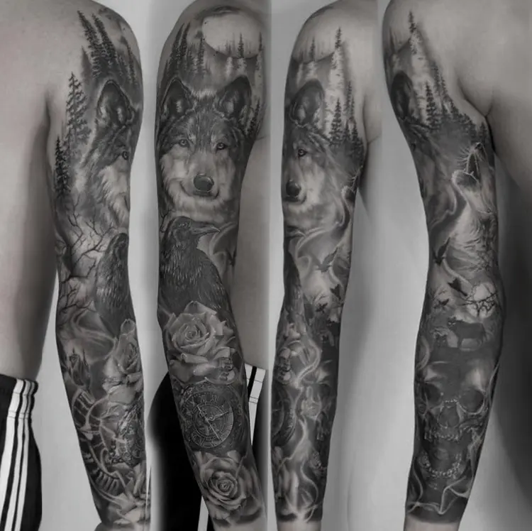 Animal, Rose, Nature