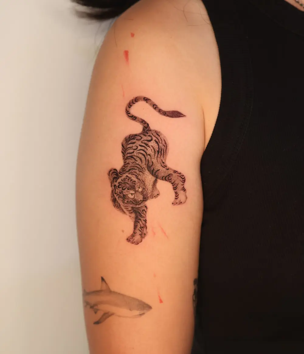 Animal, Tiger