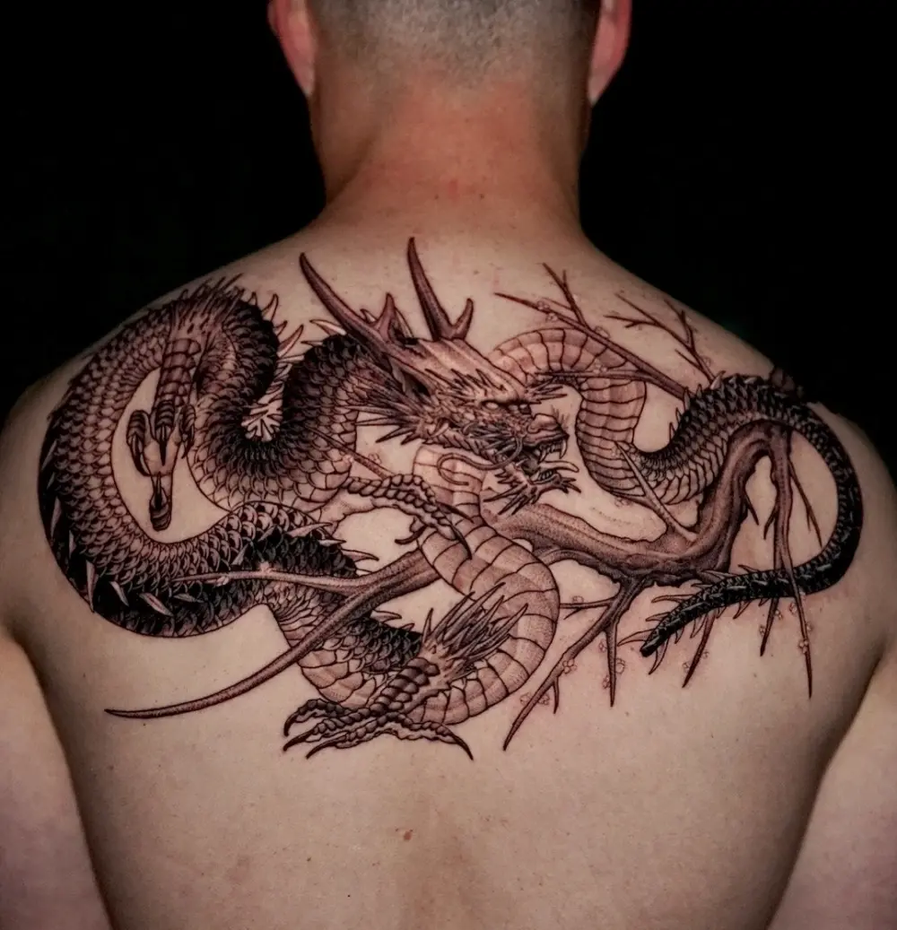Dragon