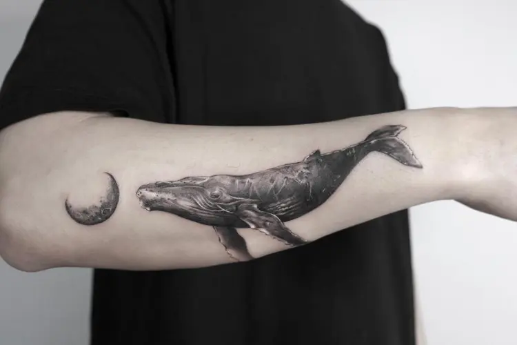 Nature, Animal