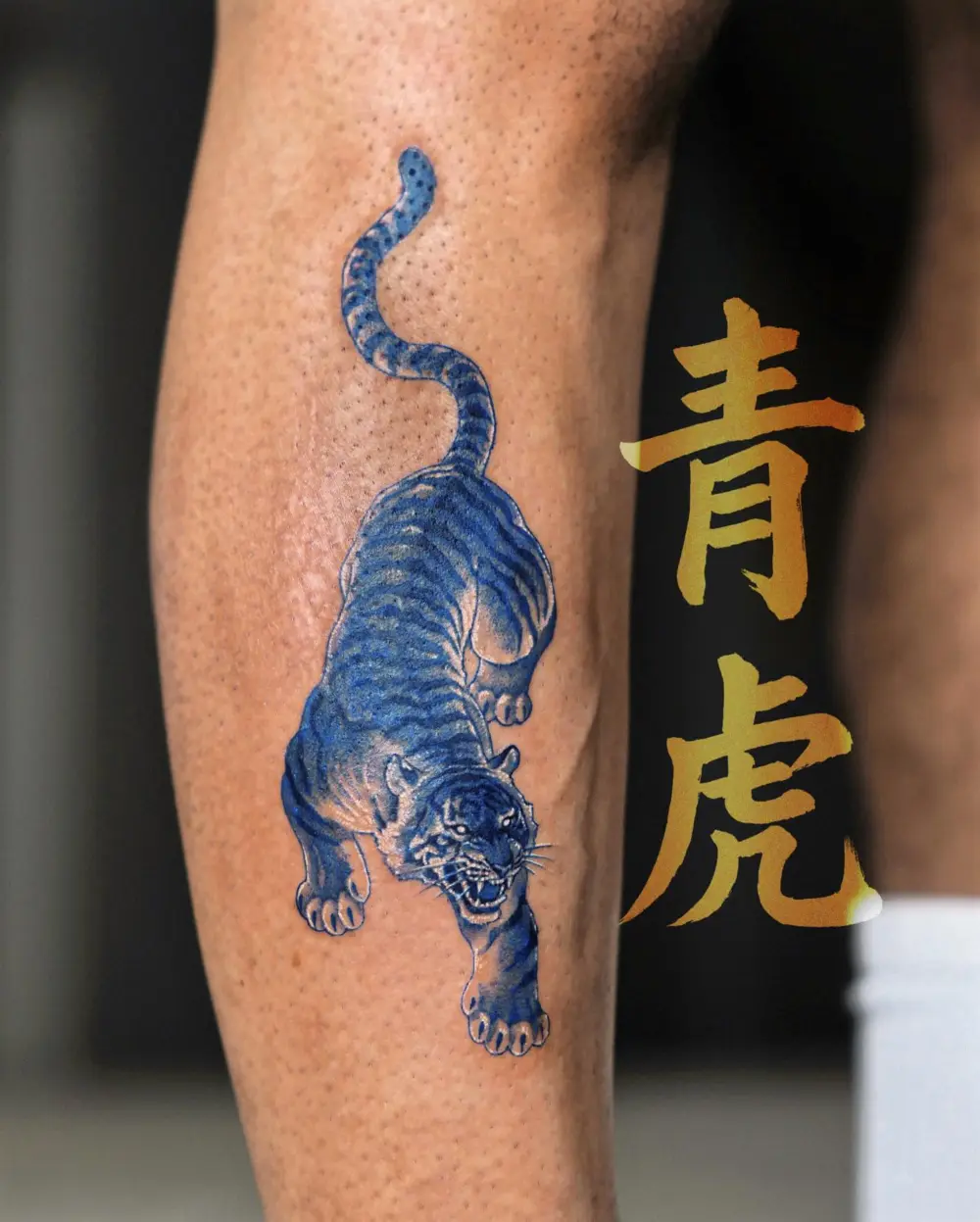 Tiger, Animal