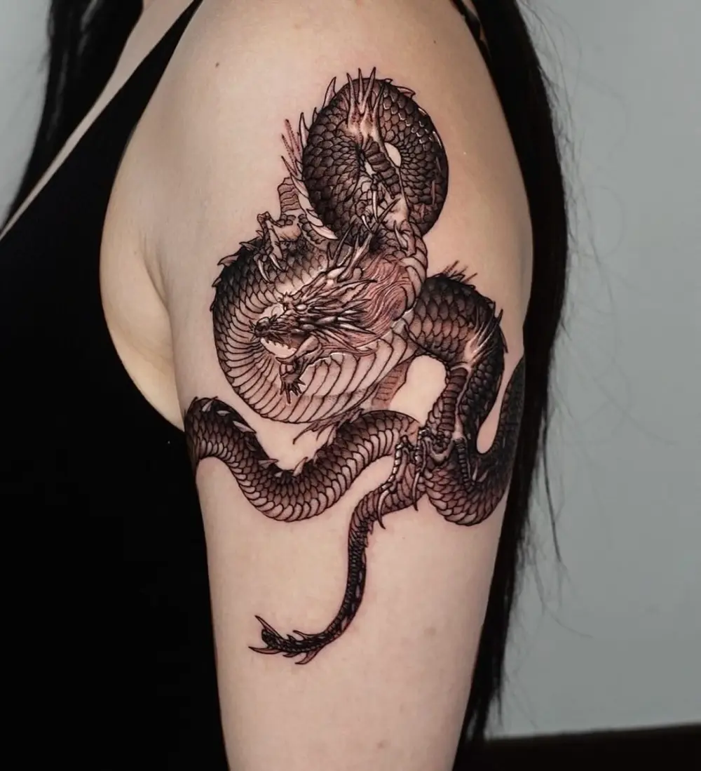 Dragon