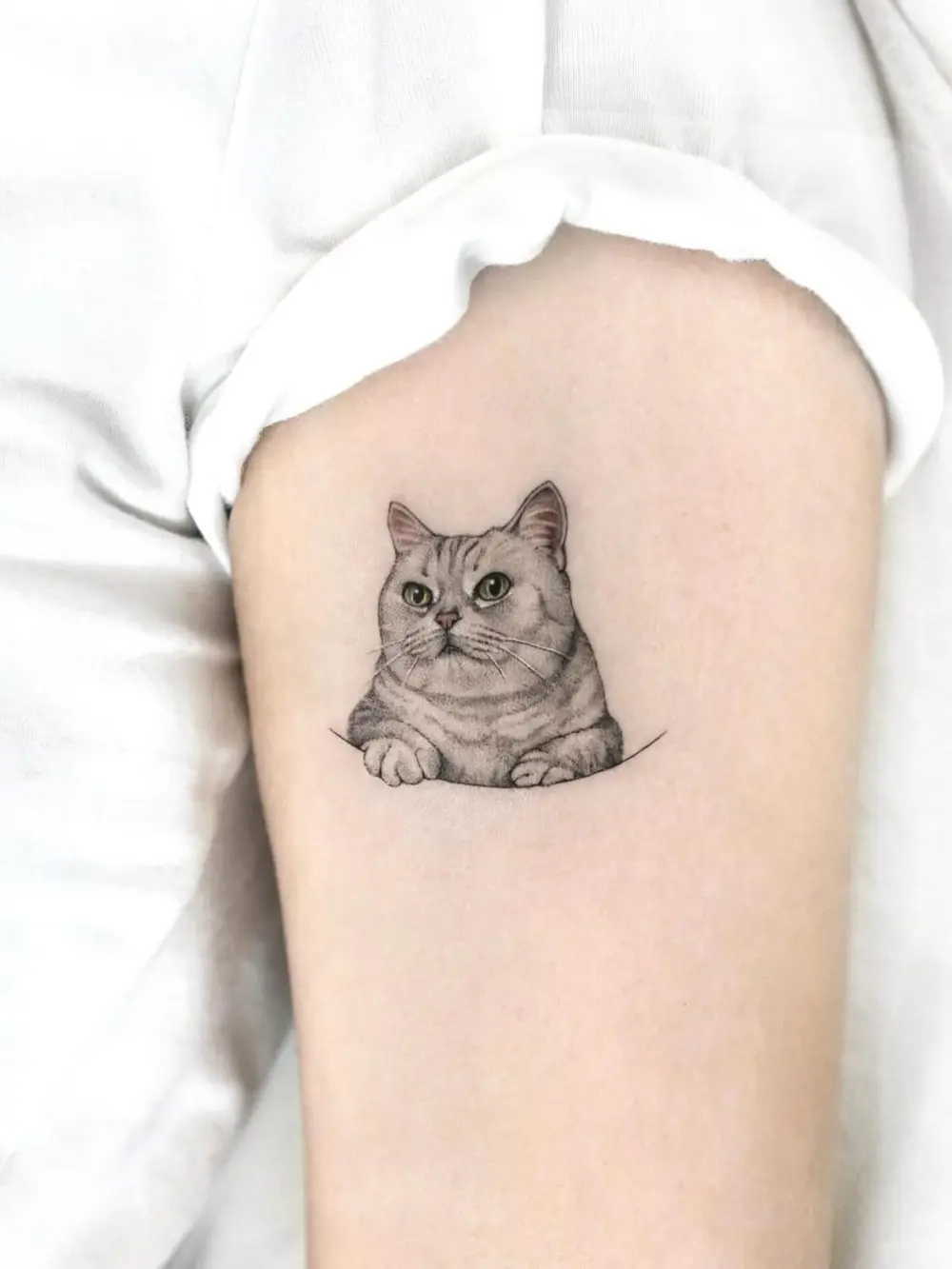 Animal