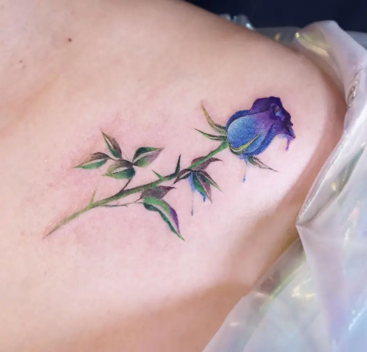 Nature, Flower