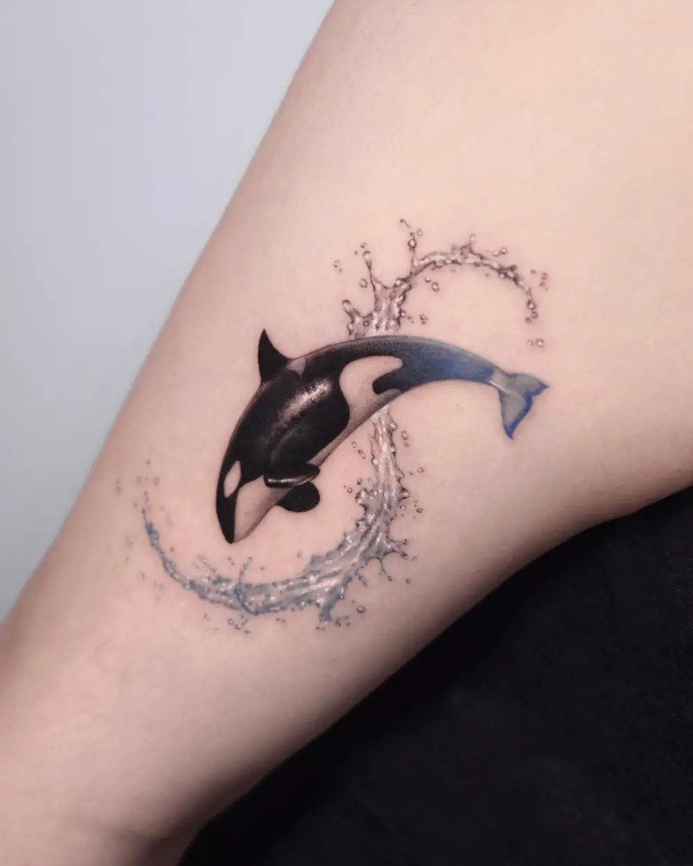 Animal, Nature