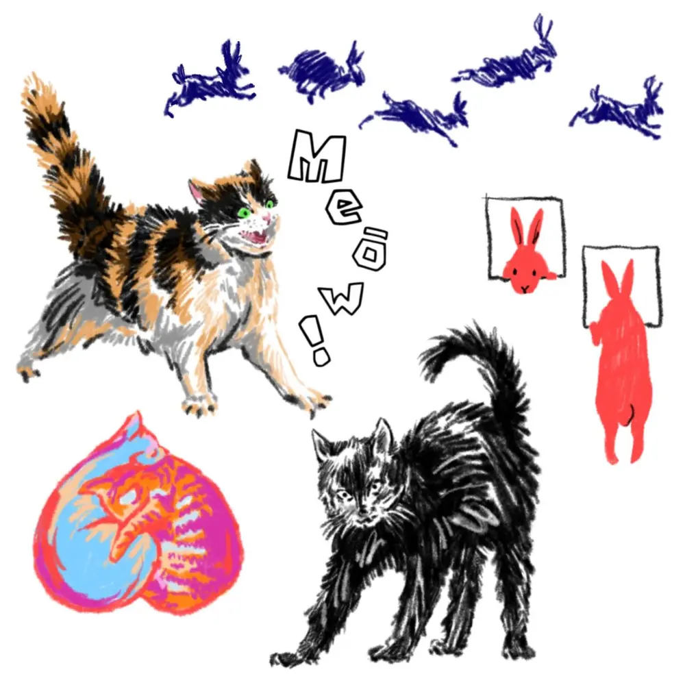 Animal