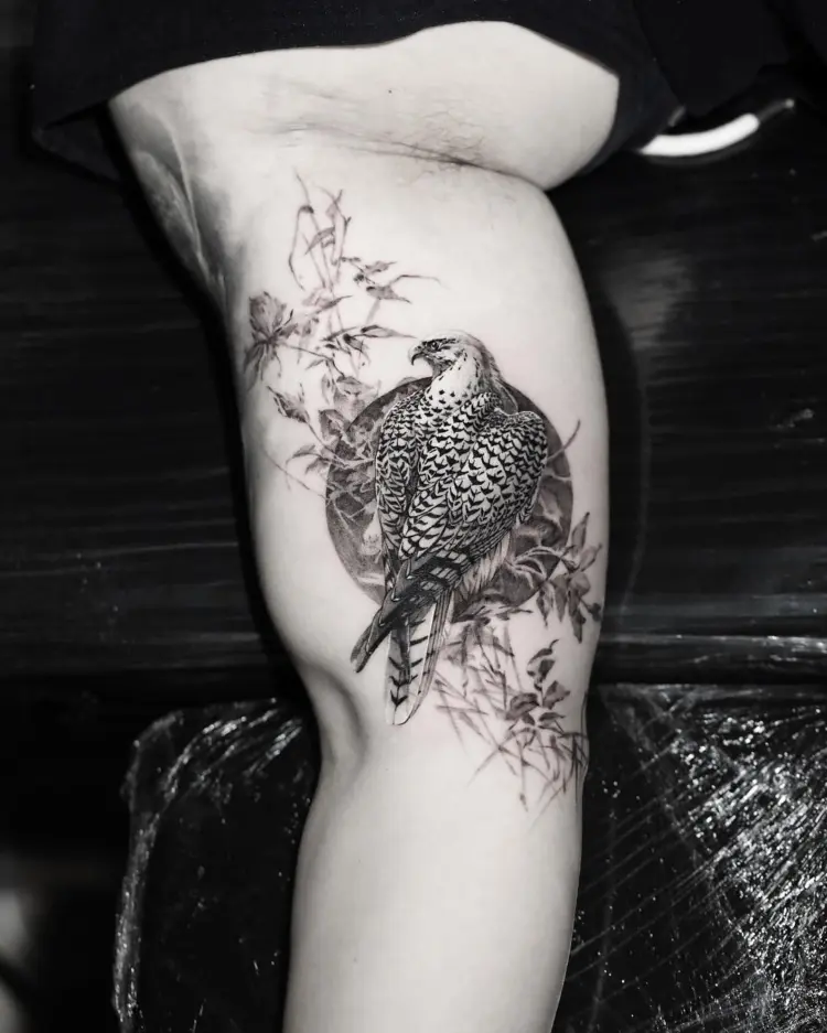Animal, Nature