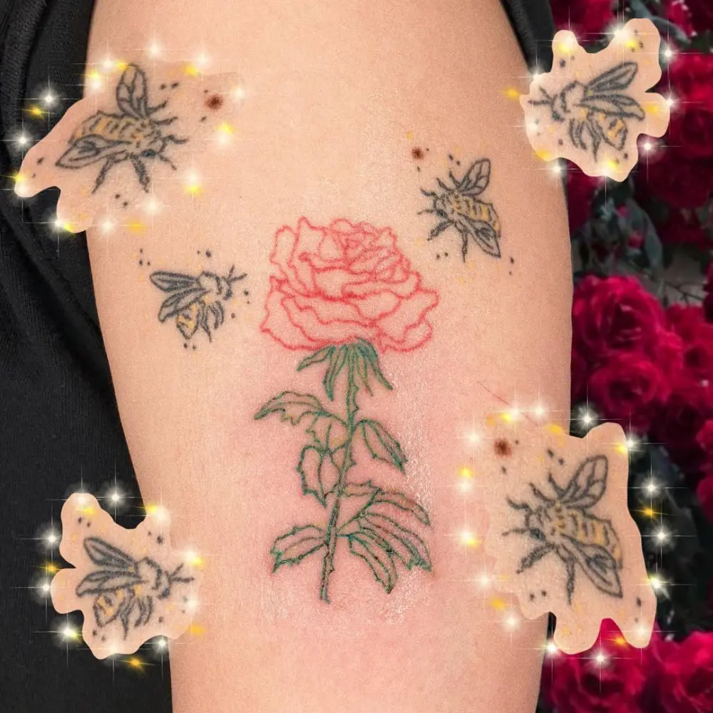 Flower, Rose, Nature