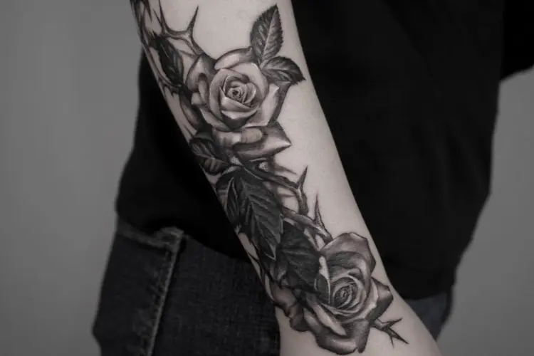 Flower, Rose