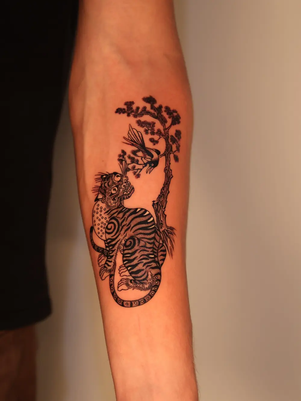 Nature, Animal, Tiger