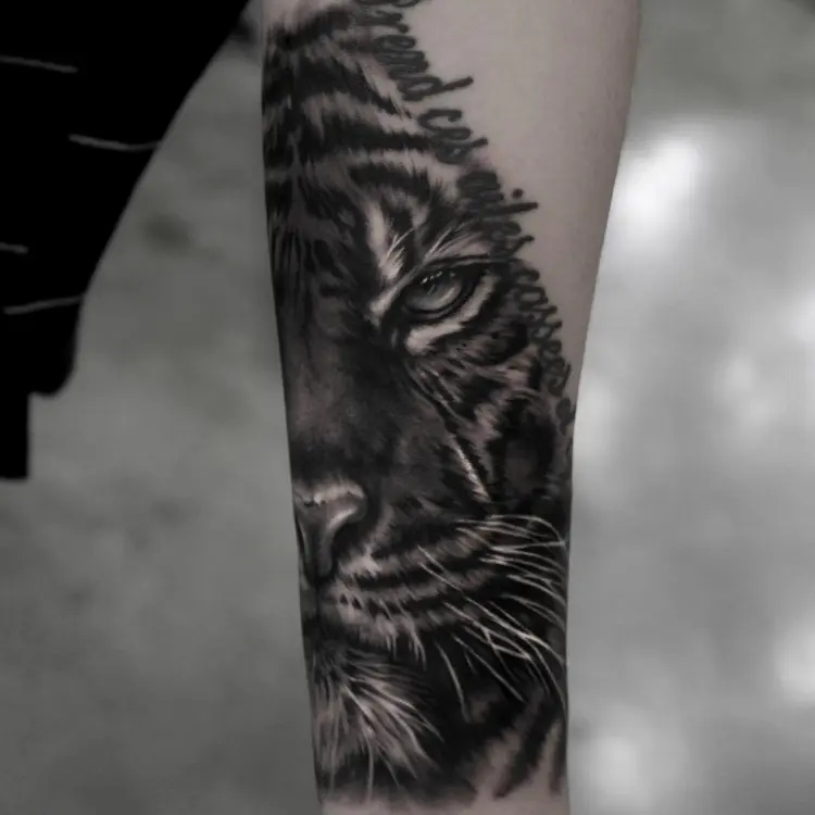 Tiger