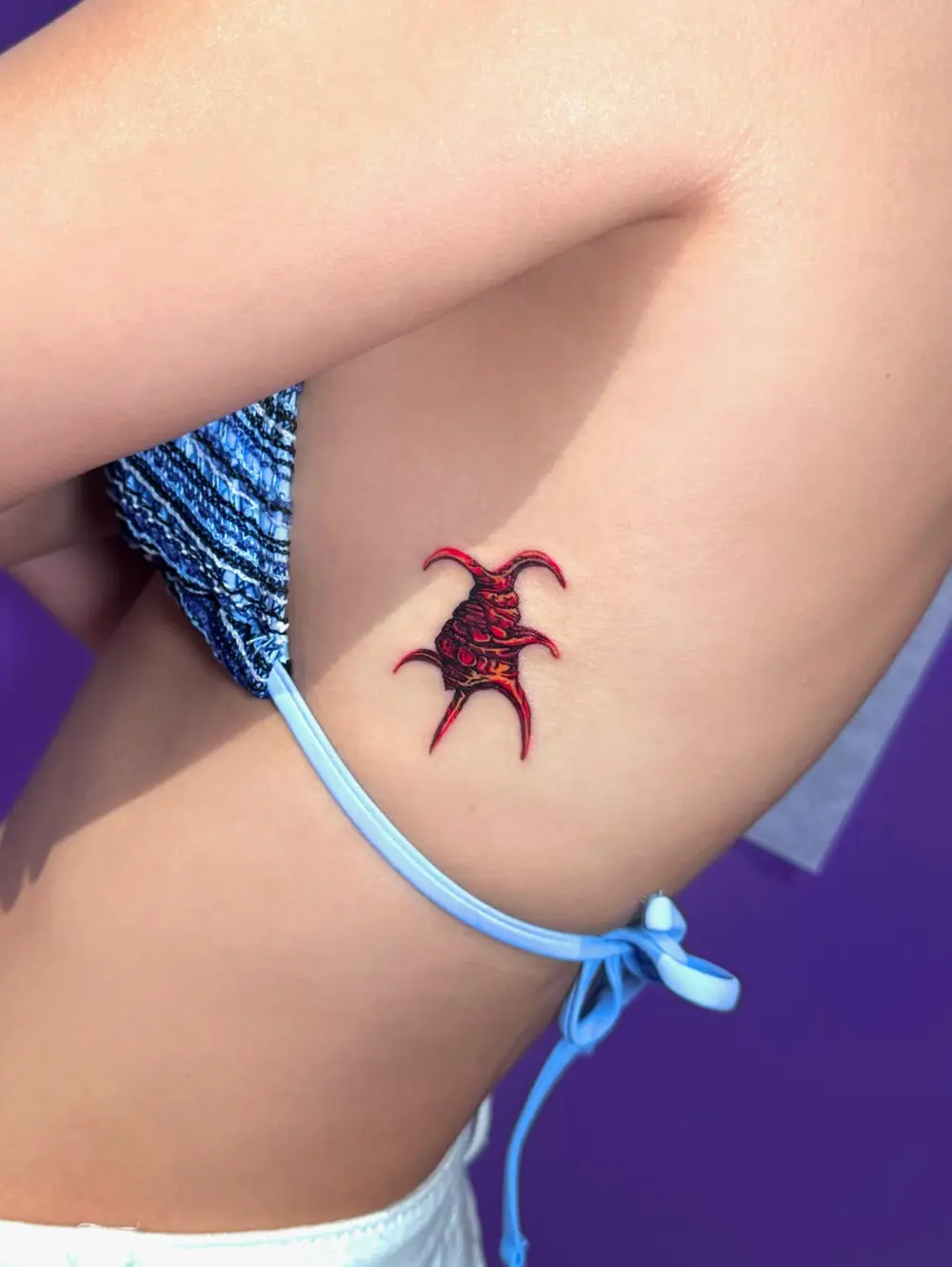 02tt.zip