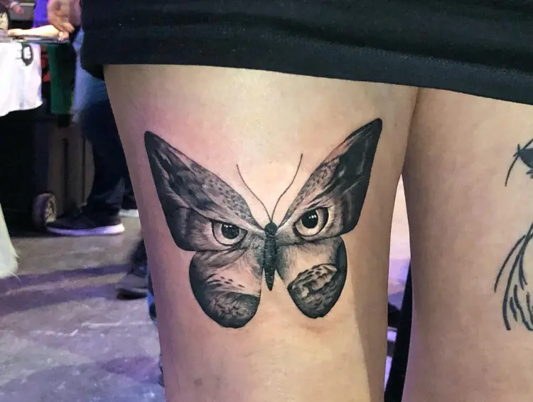 Animal, Nature