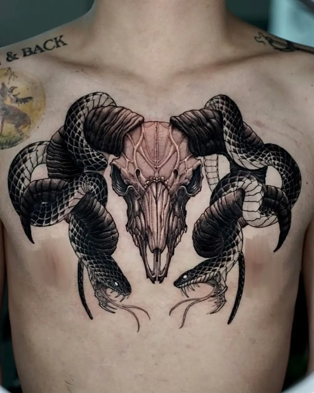 Snake
