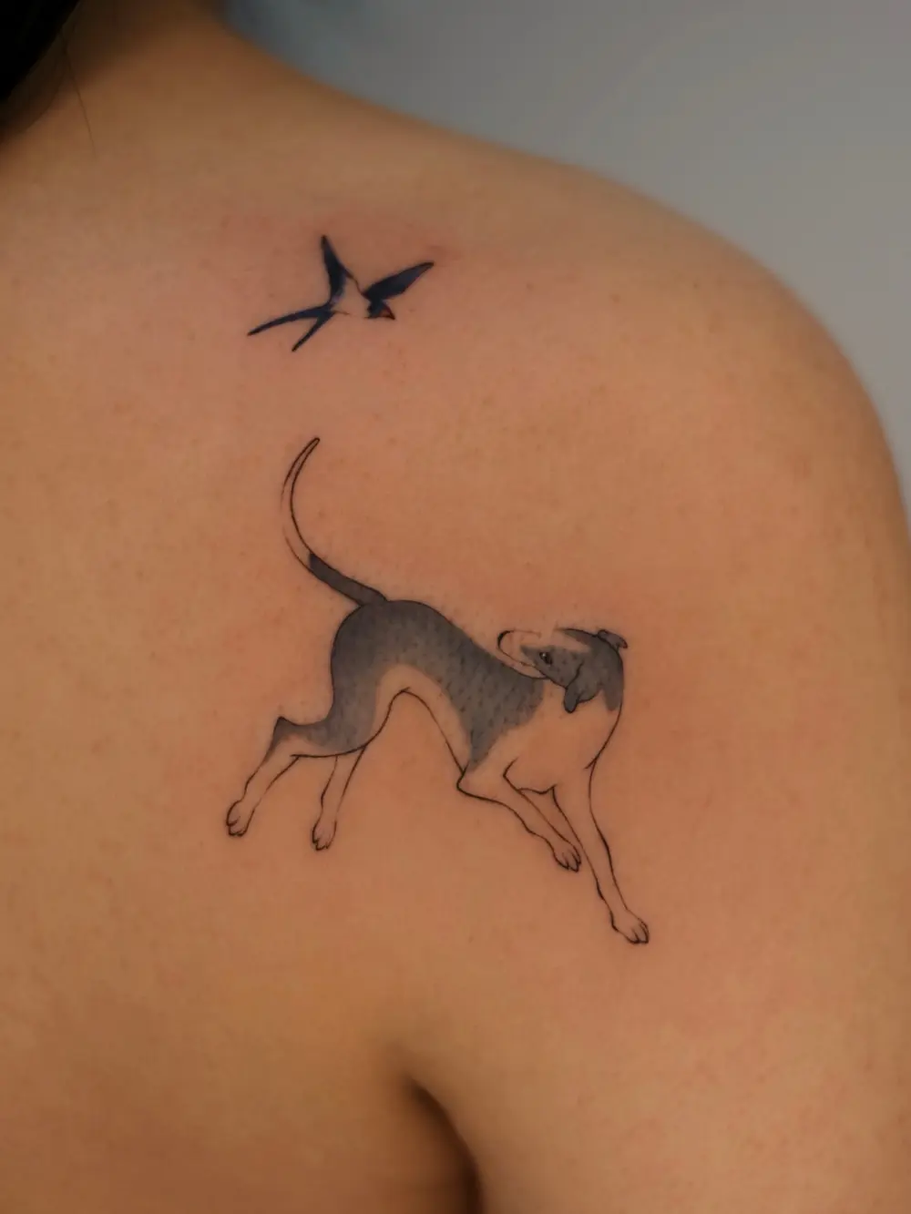 Animal