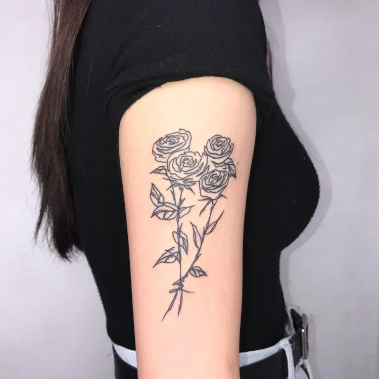 Flower, Rose