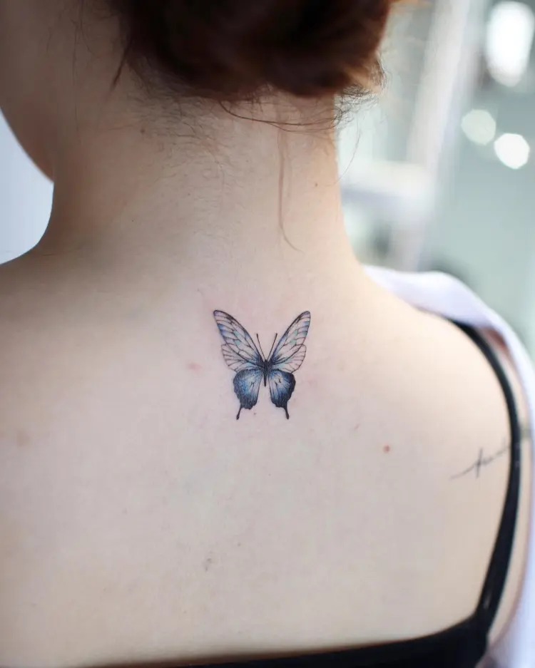 Nature, Animal