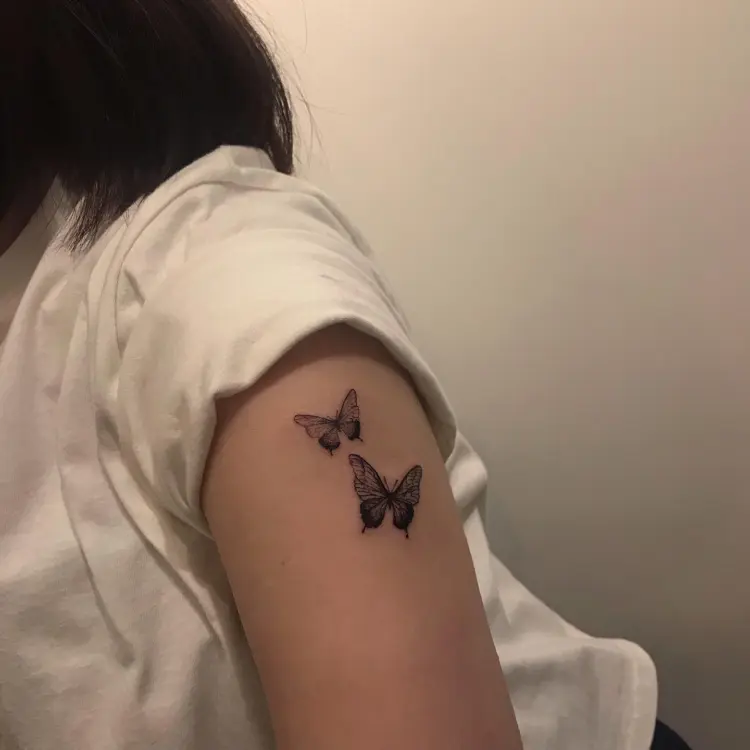 Animal, Nature