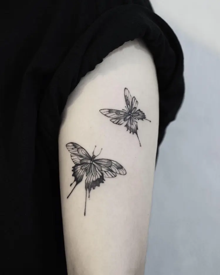 Animal, Nature