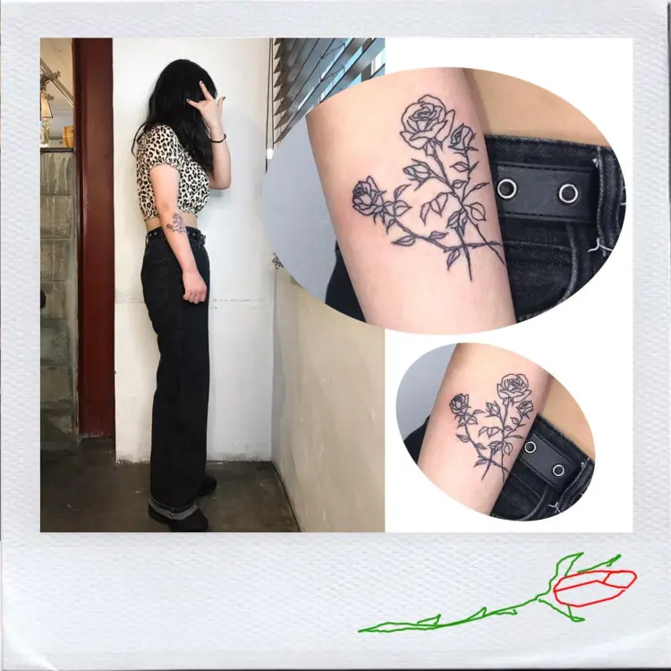 Flower, Rose