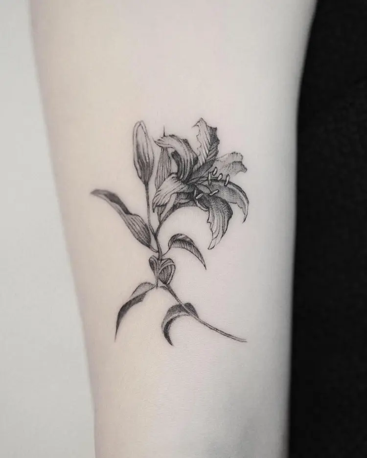 Nature, Flower