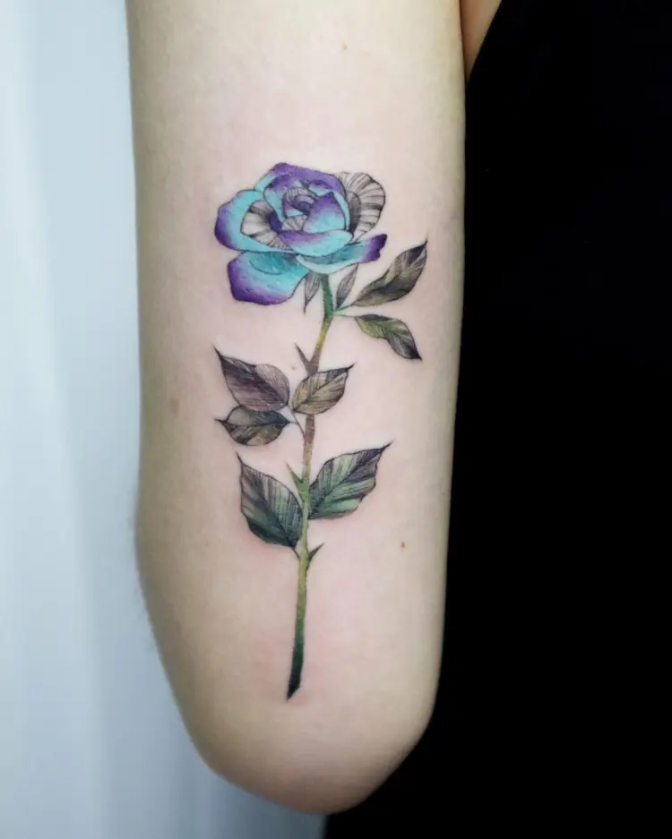 Flower, Rose