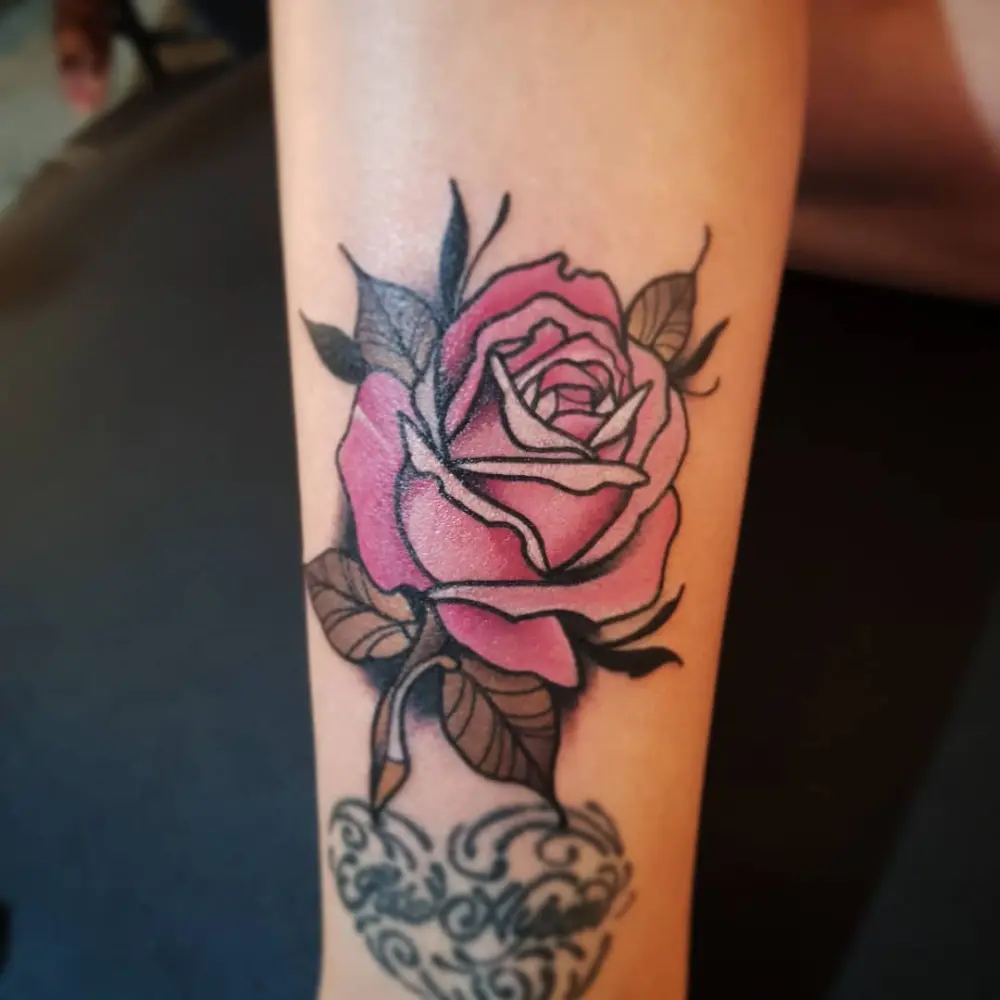 Flower, Rose