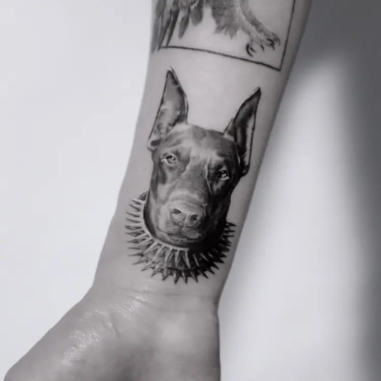 Animal