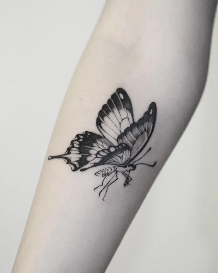 Animal, Nature, 벌, 매미, 잠자리, 요정, 참새
