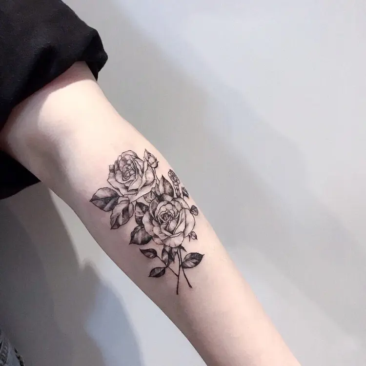 Rose, Nature, Flower