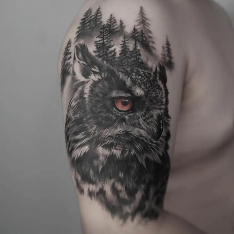Animal, Nature