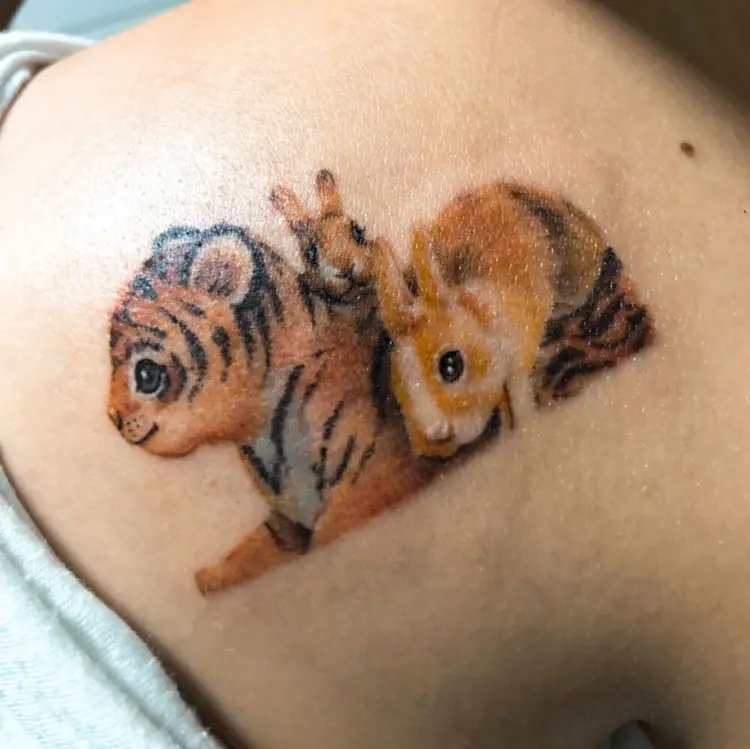 Tiger, Animal