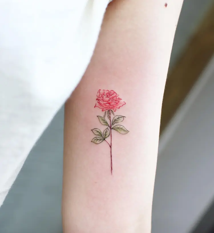 Flower, Rose