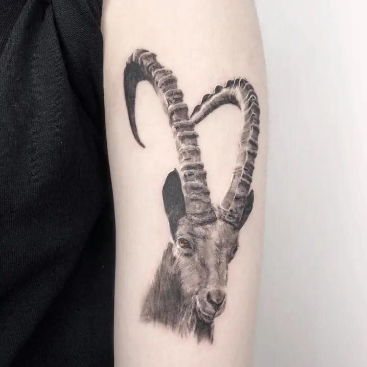 Tattoo_nyang