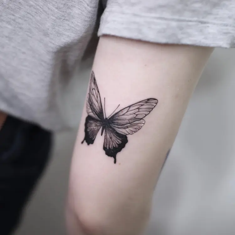 Animal, Nature